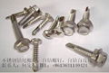410 stainless steel self-drilling screws  3