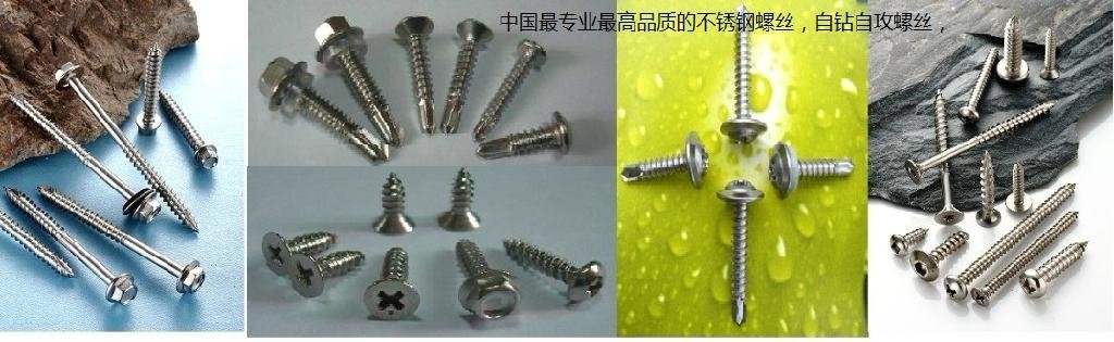  SUS304steel self-drilling screws  5