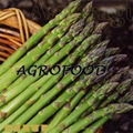 IQF green asparagus 1