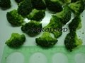 冷冻 绿花菜 1