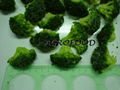 冷凍 綠花菜