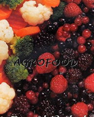 QINGDAO ACROFOOD CO., LTD.