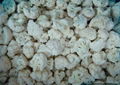 IQF cauliflower 1