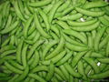 IQF sugar snap peas 1