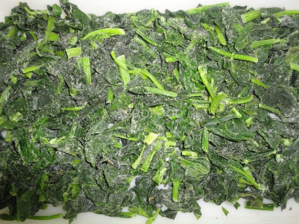 IQF SPINACH 2