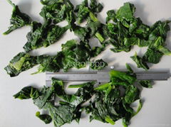 IQF SPINACH