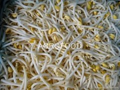 IQF Soybean sprouts