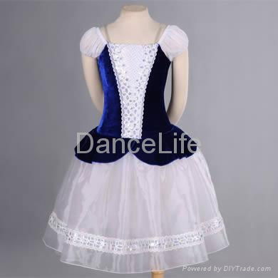 Dance Dress-dance costumes 2