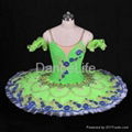 Dance Dress-dance costumes 3