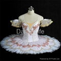 Dance Dress-dance costumes 4