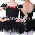 ballet dance tutu