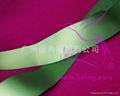 Satin Polyester Ribbon 4