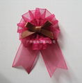 Ribbon rose 2