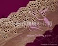 Mesh lace Embroidering lace 3