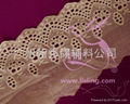 Mesh lace Embroidering lace