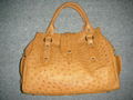 OSTRICH HAND BAG 1