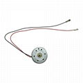 300-170 Small Size DC Motors 3.0V 12300 + / - 10% RPM Connected 170mm Standard R