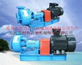 Sand pump