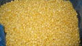 IQF SWEET KERNEL CORN 1