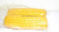 SWEET CORN COB IN VACUUM BAG