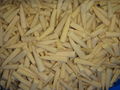 IQF BABY CORN