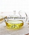 Handmade Borosilicate glass tea pot 