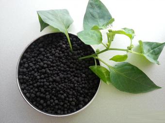 Humic Acid Granule