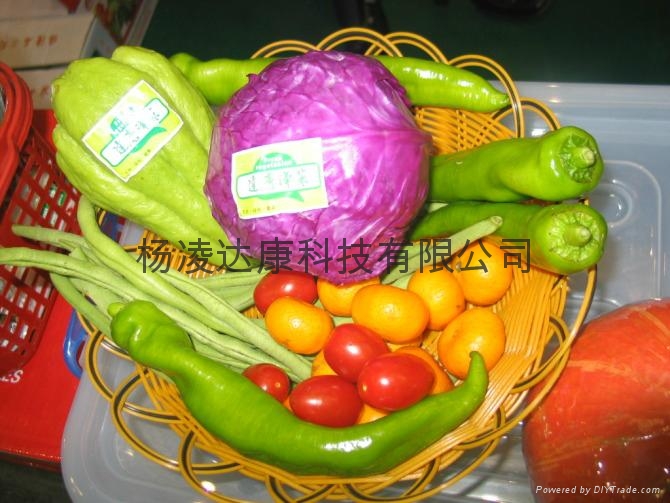 楊凌禮品菜－華貴世紀 4