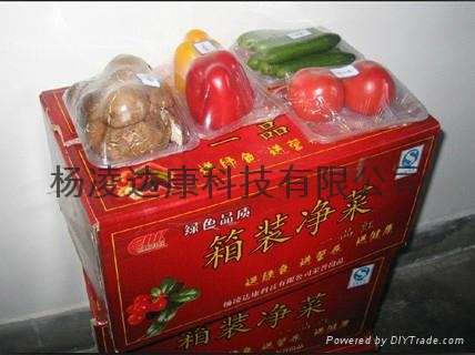 楊凌達康禮品淨菜禮盒 5