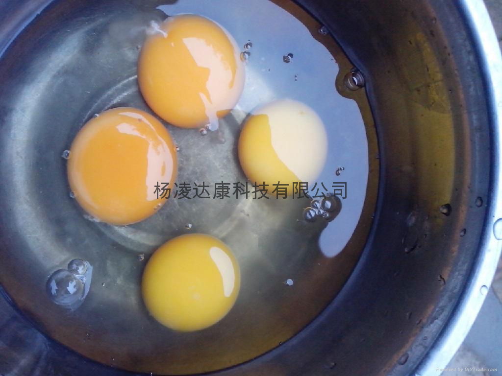 西安土鸡蛋礼盒 3