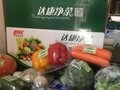 杨凌箱装蔬菜