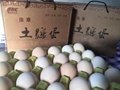 西安土鸡蛋礼盒