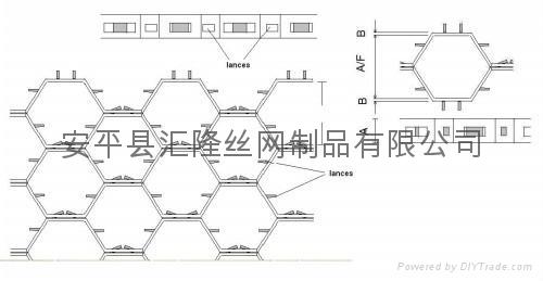 0Cr13龜甲網 G-02 3