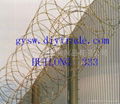 Barbed Razor wire CW-12 3