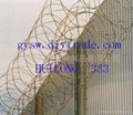 Barbed Razor wire CW-12