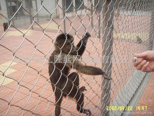 Security fencing for zoo BW-07 2