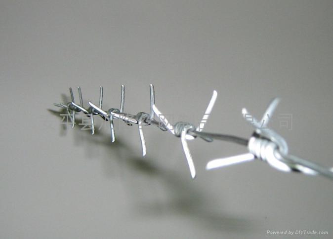 Barbed Wire CW-11 2