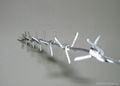 Barbed Wire CW-11 2
