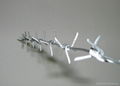 Barbed Wire CW-11