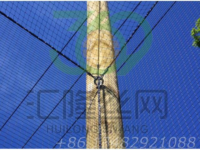 SW17 aviary mesh,stainless steel cable mesh, bird netting,balustrade fencing 3