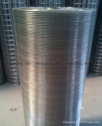 Quick delivery stainless steel wire mesh 5