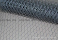 hexagonal wire mesh 1