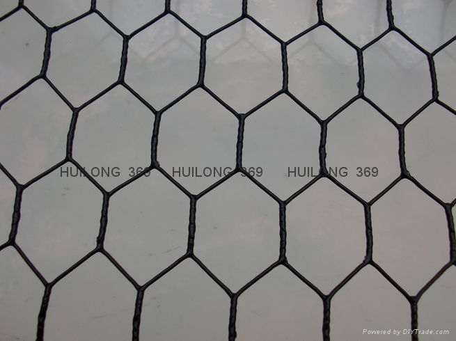 hexagonal wire mesh 2