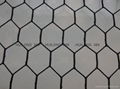 hexagonal wire mesh 2