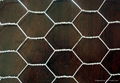 hexagonal wire mesh 3