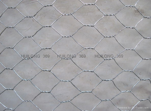 Customed hexagonal wire mesh