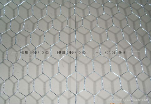 Customed hexagonal wire mesh 2