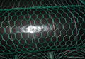 Customed hexagonal wire mesh