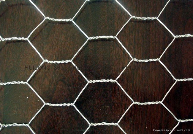 hexagonal wire mesh 2