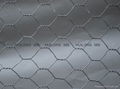 New material hexagonal wire mesh